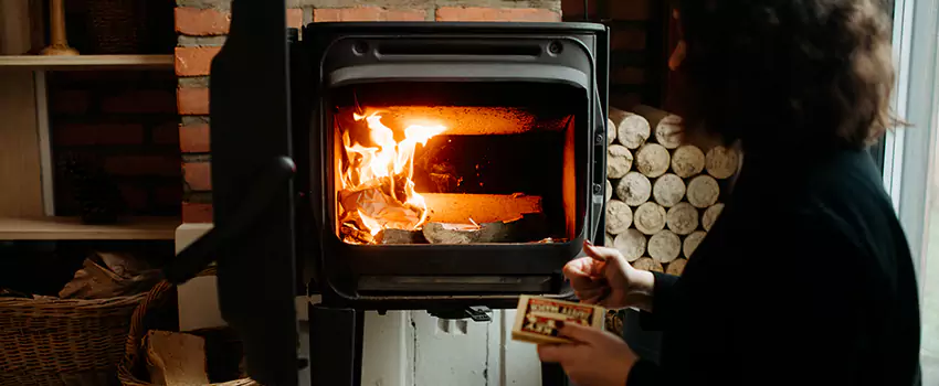 Hearthstone Wood Stoves Fireplace Repair in Palatine, Illinois