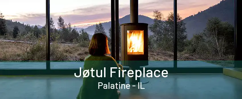 Jøtul Fireplace Palatine - IL