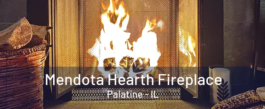 Mendota Hearth Fireplace Palatine - IL