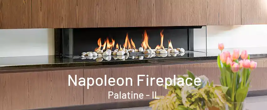 Napoleon Fireplace Palatine - IL