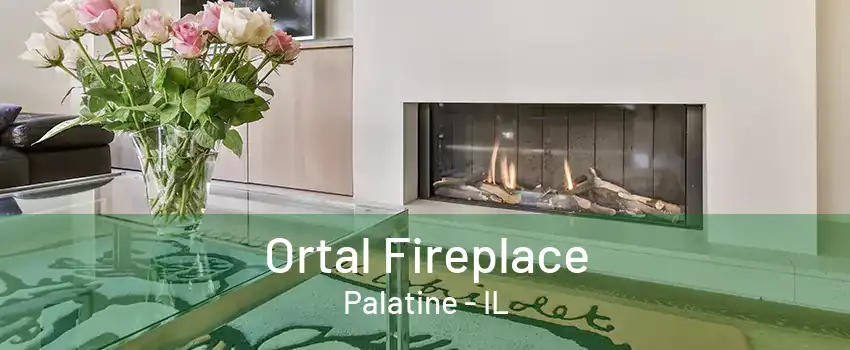 Ortal Fireplace Palatine - IL