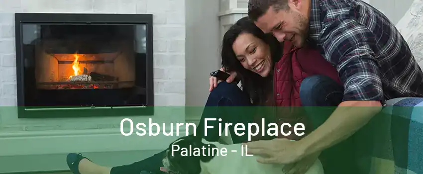 Osburn Fireplace Palatine - IL