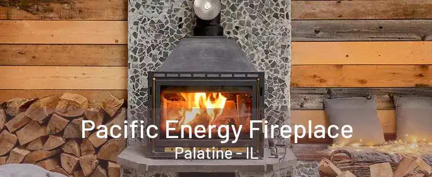 Pacific Energy Fireplace Palatine - IL