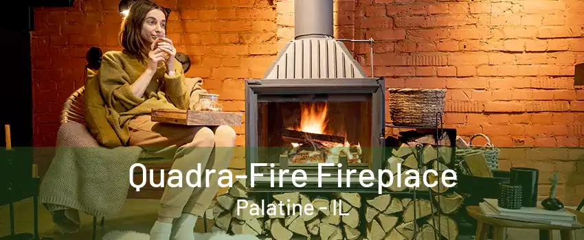 Quadra-Fire Fireplace Palatine - IL