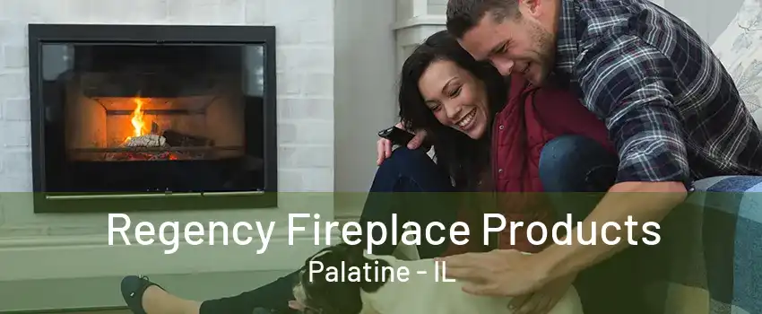 Regency Fireplace Products Palatine - IL