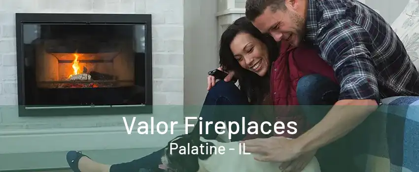 Valor Fireplaces Palatine - IL