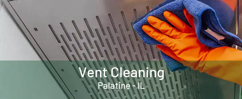 Vent Cleaning Palatine - IL