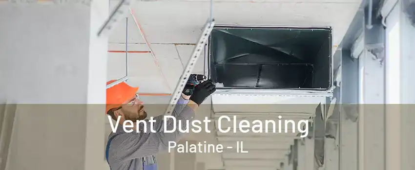 Vent Dust Cleaning Palatine - IL