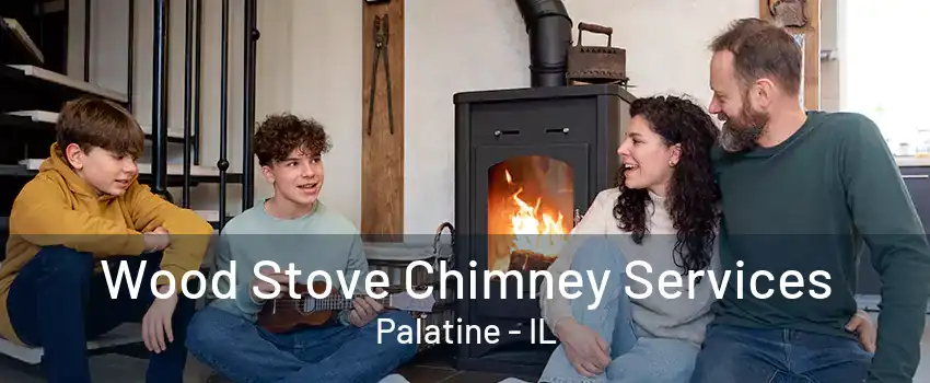 Wood Stove Chimney Services Palatine - IL